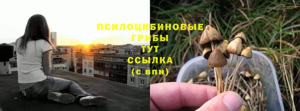ешки Янаул