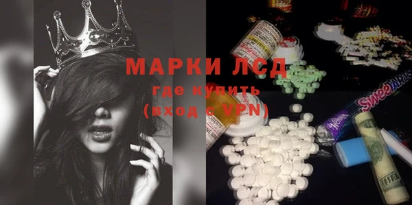 прущие грибы Дмитриев