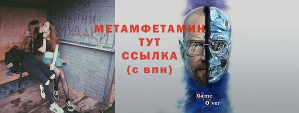 прущие грибы Дмитриев
