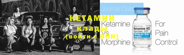 прущие грибы Дмитриев
