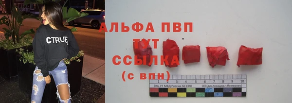 прущие грибы Дмитриев