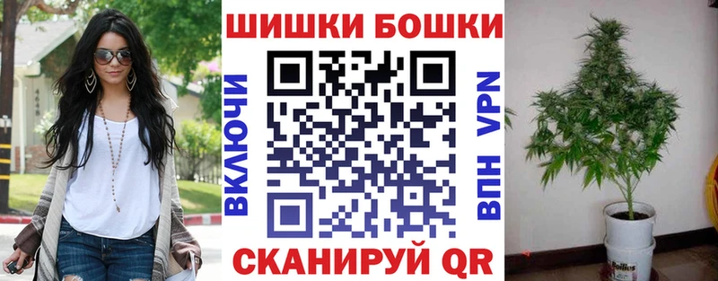 Бошки Шишки семена Новая Ладога